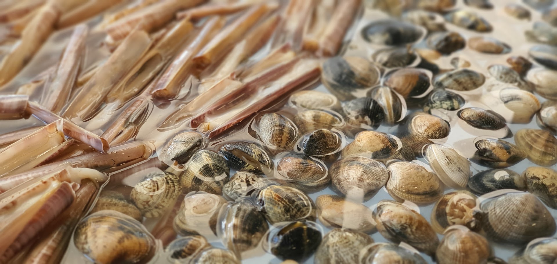 Il Peperoncino Seafood & Pizza · Foto 2